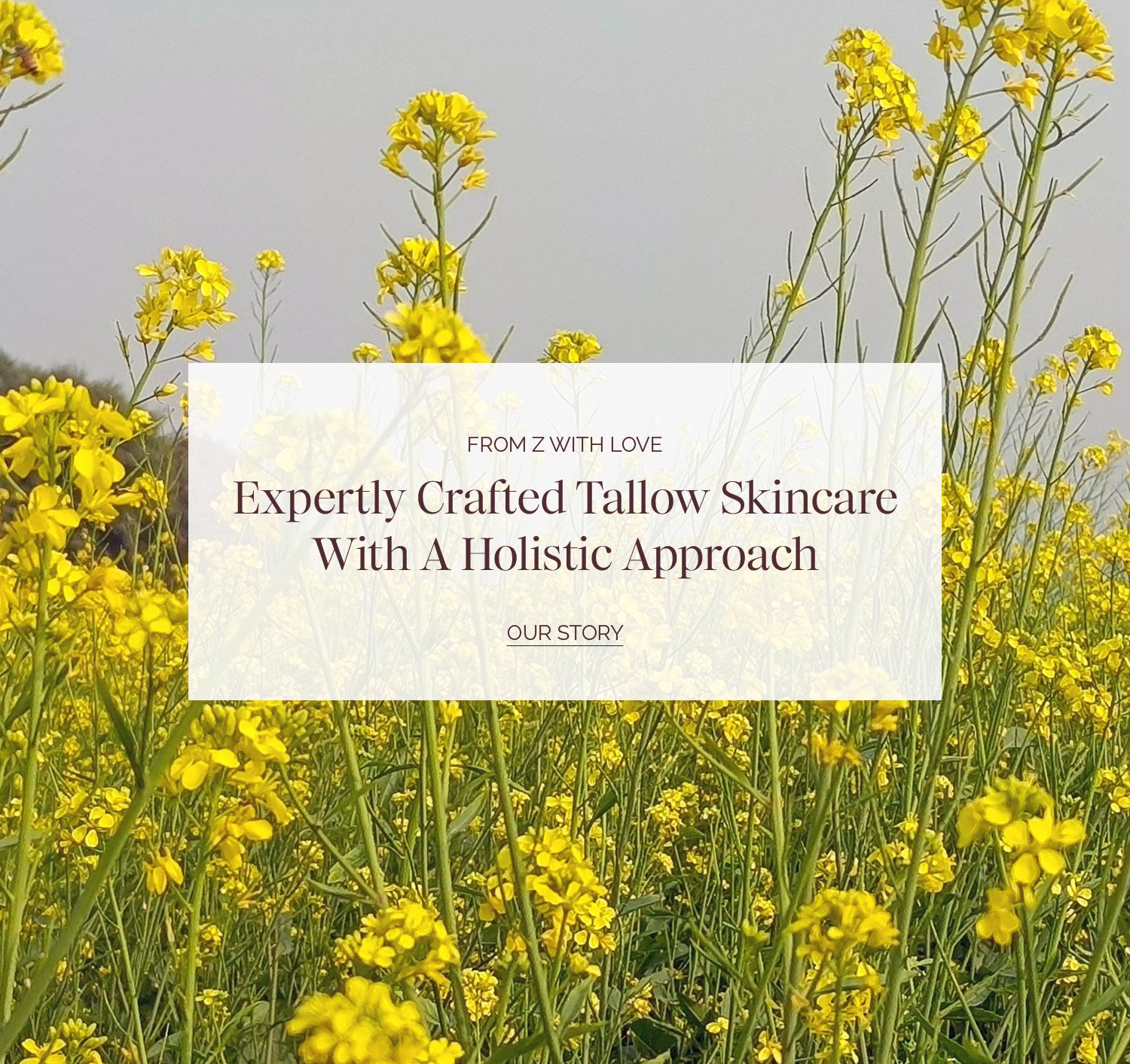 Beleza by Z - Expertly crafted Tallow Skincare : Our Story