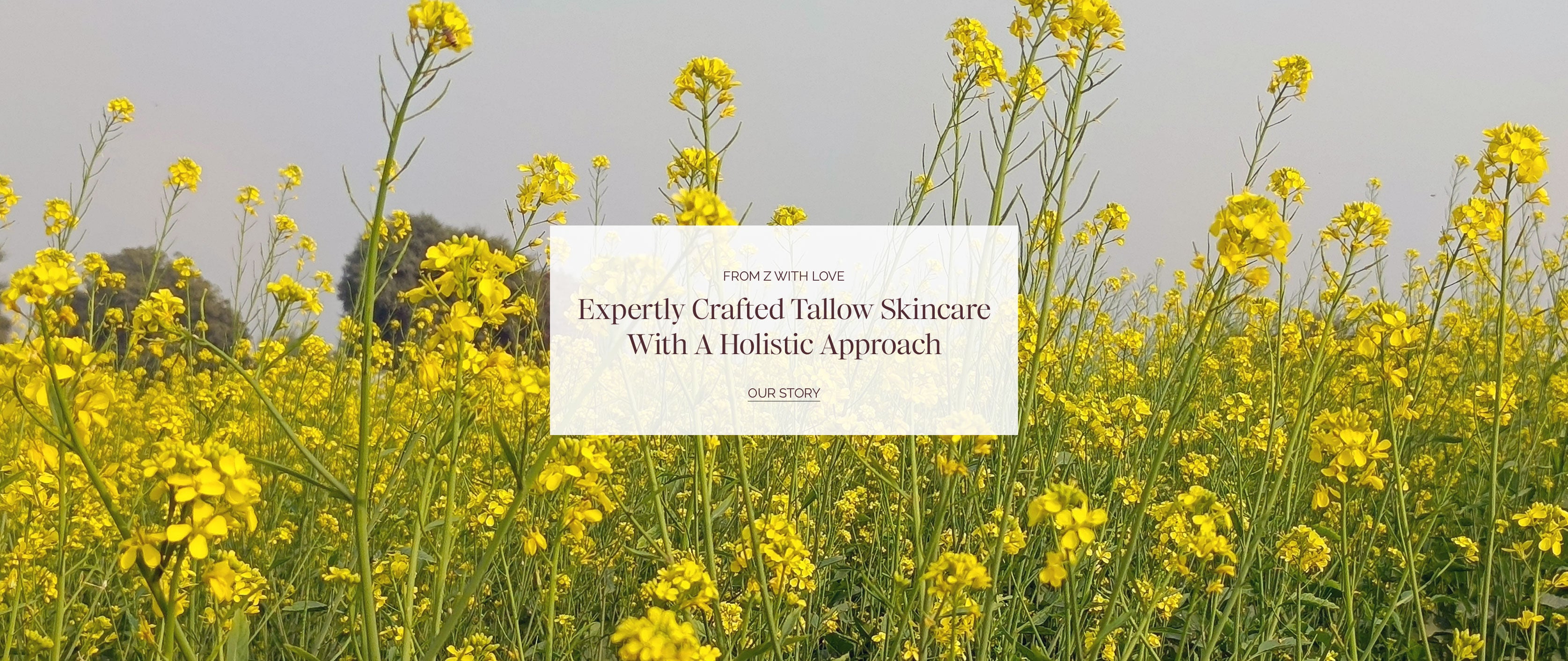 Beleza by Z - Expertly crafted Tallow Skincare : Our Story